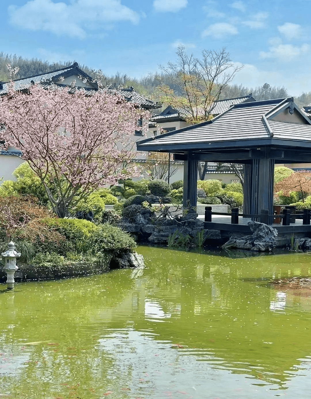 滨江天目山晓城(售楼处)首页网站丨天目山晓城售楼处-售楼处欢迎您丨