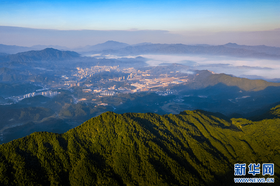 新华网发 吴志贵 摄航拍资溪县高田乡城上村千亩白茶基地美景