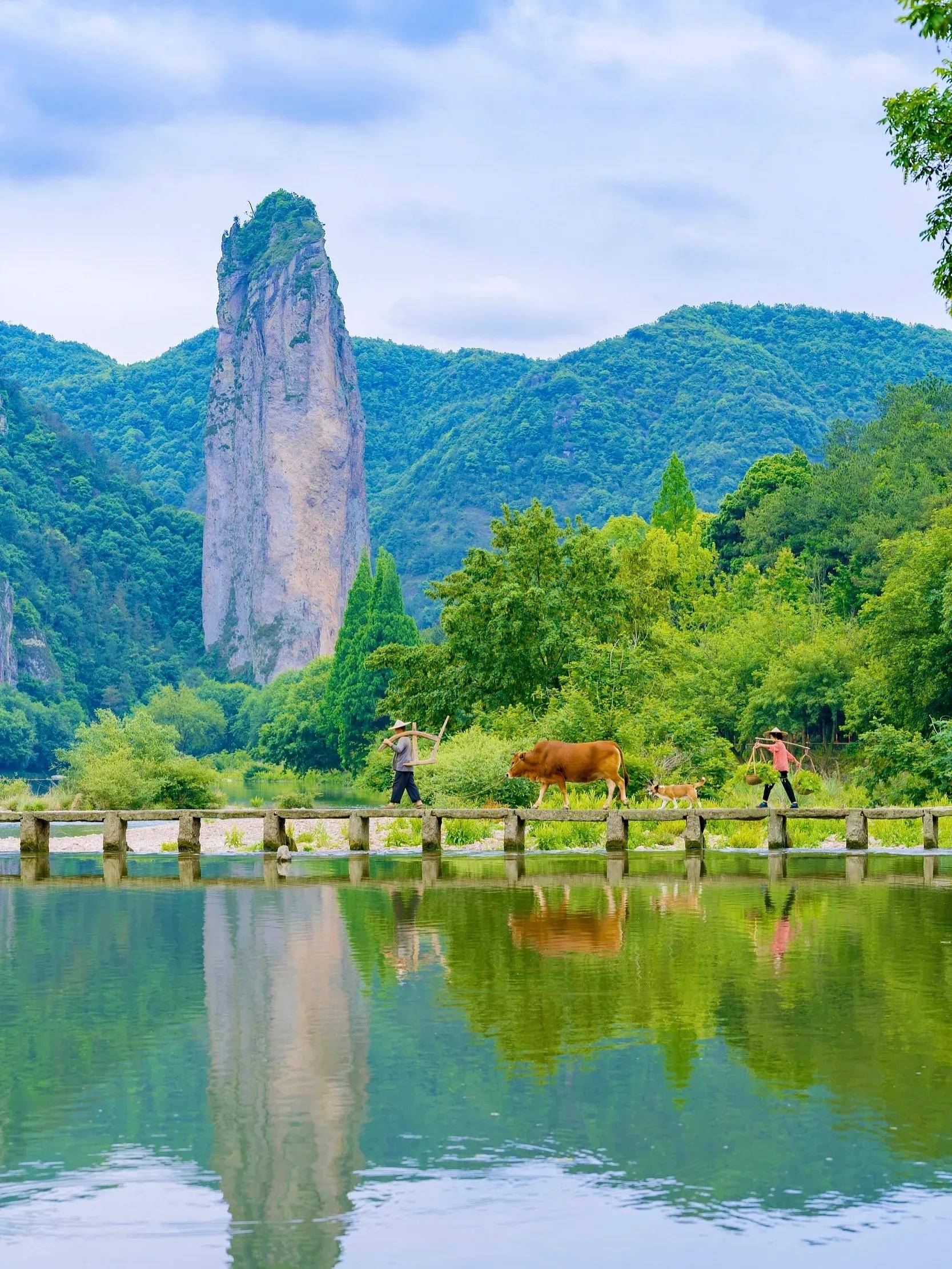 浙江丽水旅游景点大全图片