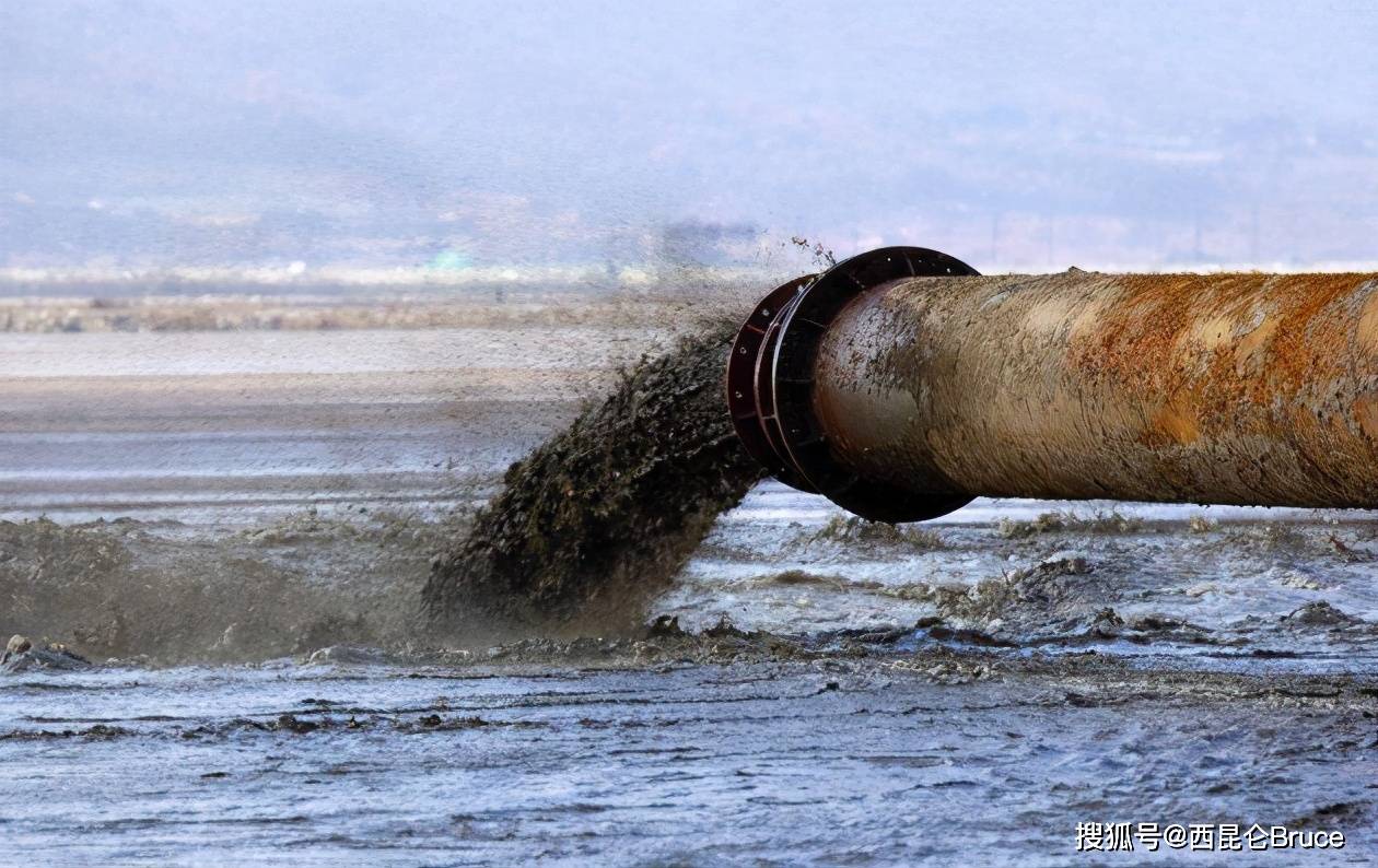 珠江大量鱼往同一个方向游,是否和日本核污水有关_鱼群_核污染_游动