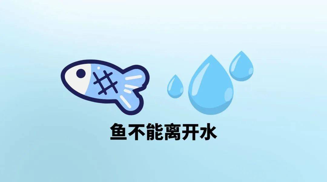 小二课堂丨商家不能离开平台,就像鱼不能离开水_用户_互联网_运营