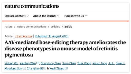 张学礼/毕昌昊团队开发双aav碱基编辑疗法,治疗遗传