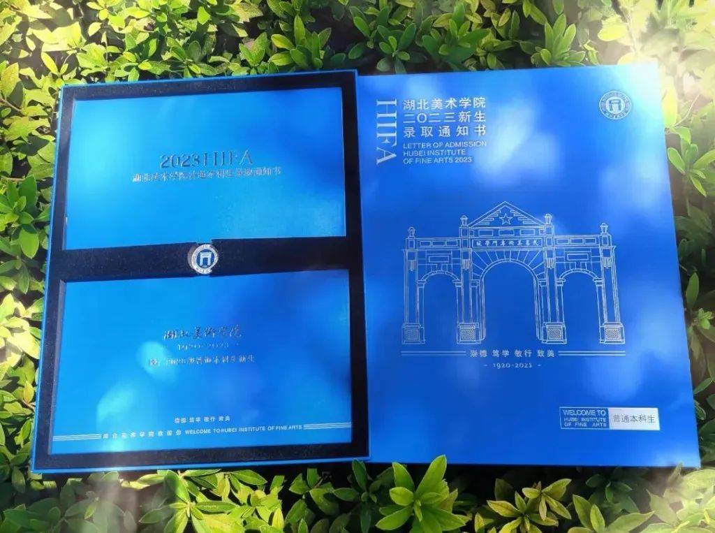 美术学院录取分数线排名_2023年各美院本科录取分数线_中央美术学院清华大学美术学院天津美术学院中国美术学院鲁迅美术学院四川美术学院广州美术学院湖北美术学院西安美术学院