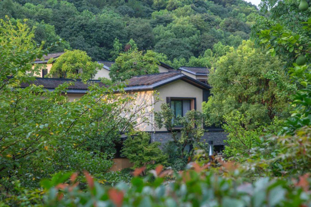 跨山见城,隐于山谷间,这是湘湖逍遥庄园如此迷人的不二法门_别墅区
