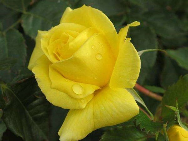 钱财大运奔小康,生活走上制富路,4大生肖存款涨,工