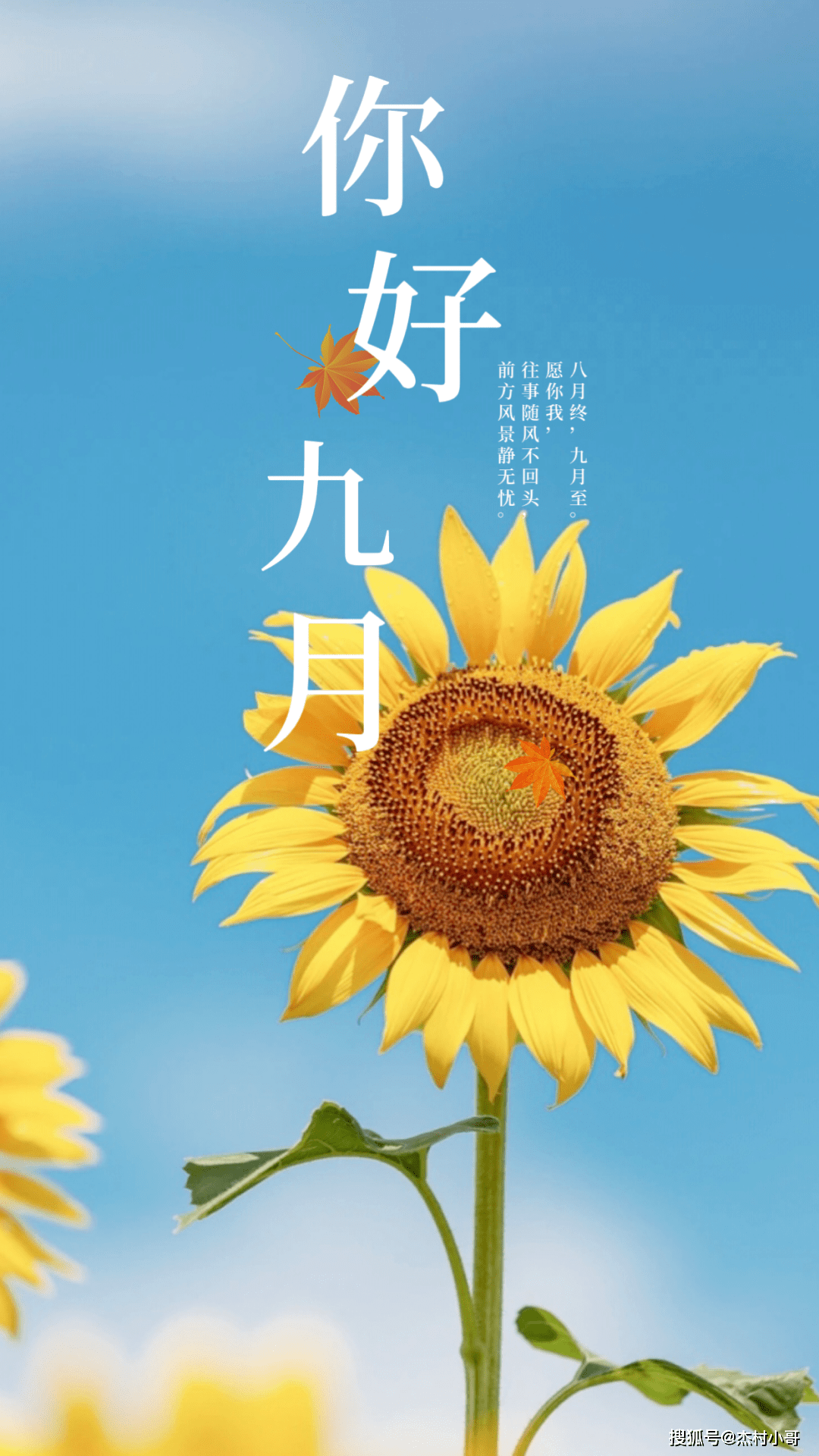 12条朋友圈正能量祝福文案