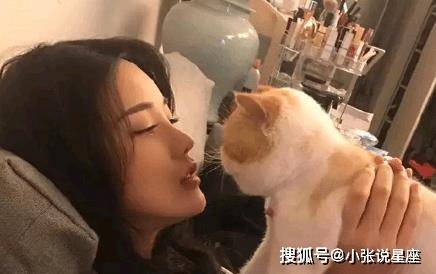 简单纯粹的爱情故事全集，字句触动心弦！