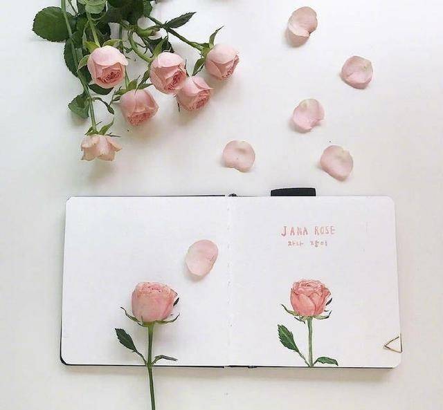 森的文艺意境个性签名,句子精致,颜值高的人一定会喜欢!