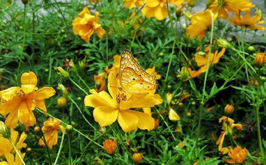 简短又优美的句子，每句话都有内涵，很适合发朋友圈