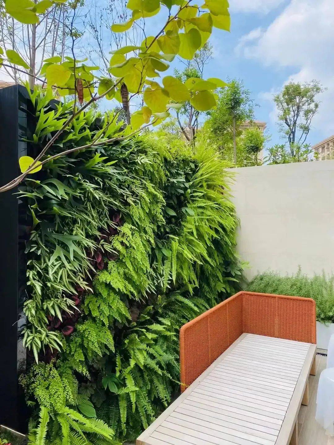 【造花园·植物墙】庭院种植新方式——植物上墙让