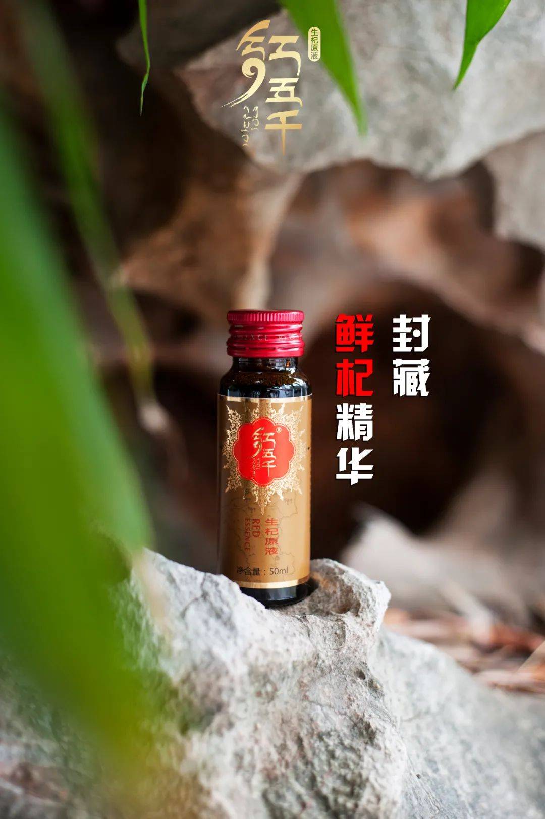 不老症(不老症和侏儒症一样吗)-第2张图片-鲸幼网