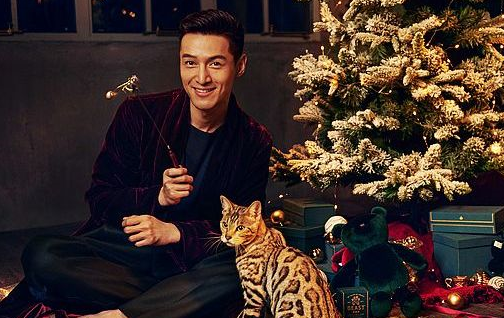 胡歌为何在豪宅养很多猫?