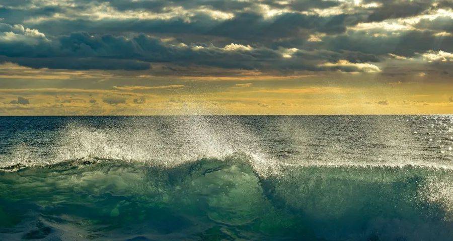 上半年家电业喜中藏忧,美的海尔海信格力亮剑老板华帝拼多多收获-家电圈官网