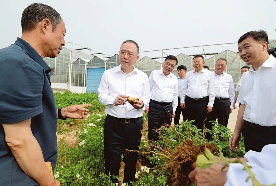 9月1日,省委副书记,省长金湘军深入吕梁市岚县,在山西康农薯业公司