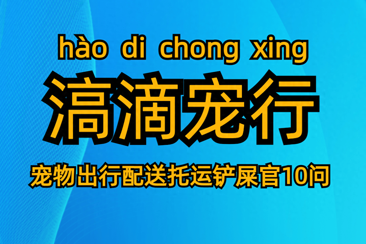 滈滴宠行宠物出行宠物配送托运铲屎”