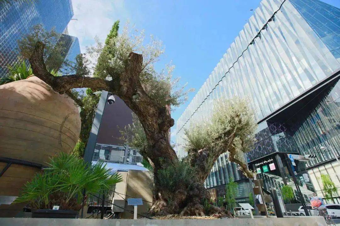 博雅视野|日本4种公园商业模式创新玩法,重新定义城市公园!