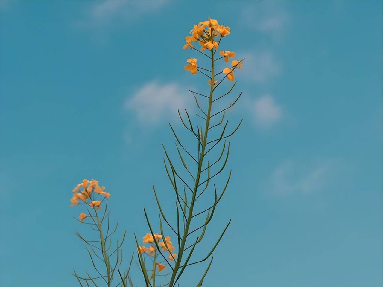 九月打起精神,变得更强大,越挫越勇的星座_天蝎座_工作_因为