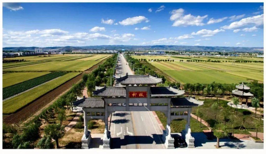 柳林酒热销背后,这三大优势传承为凤香腾飞"赋能"_酿造_千年_历史