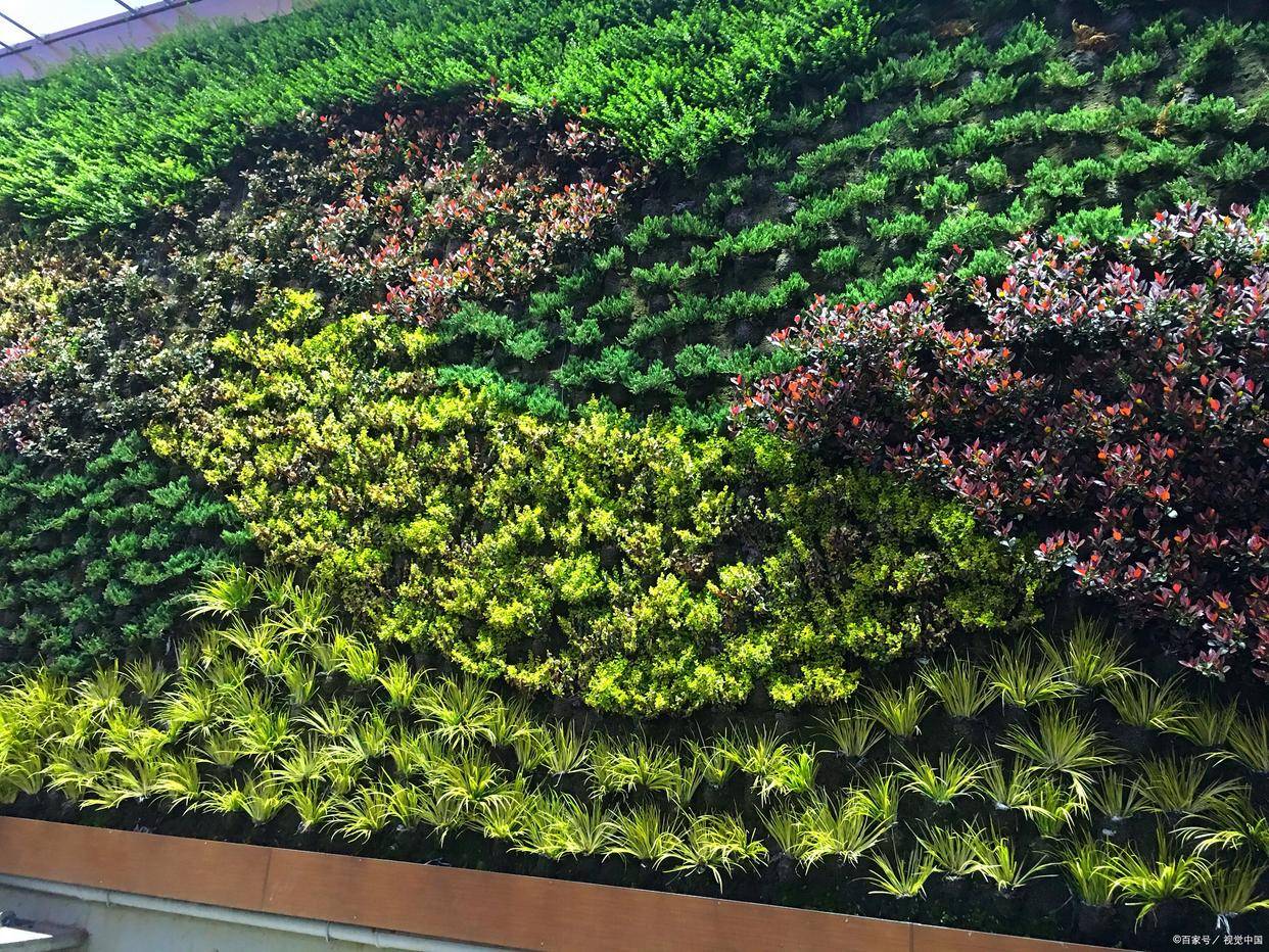 仿真植物墙:绿意盎然的生活空间美学