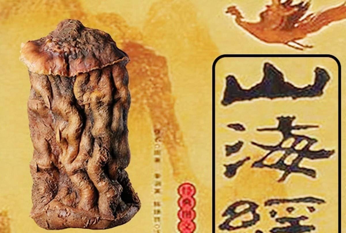 6年前,那个捡到太岁一夜暴富的辽宁农民王承德,后来创业去了_东西