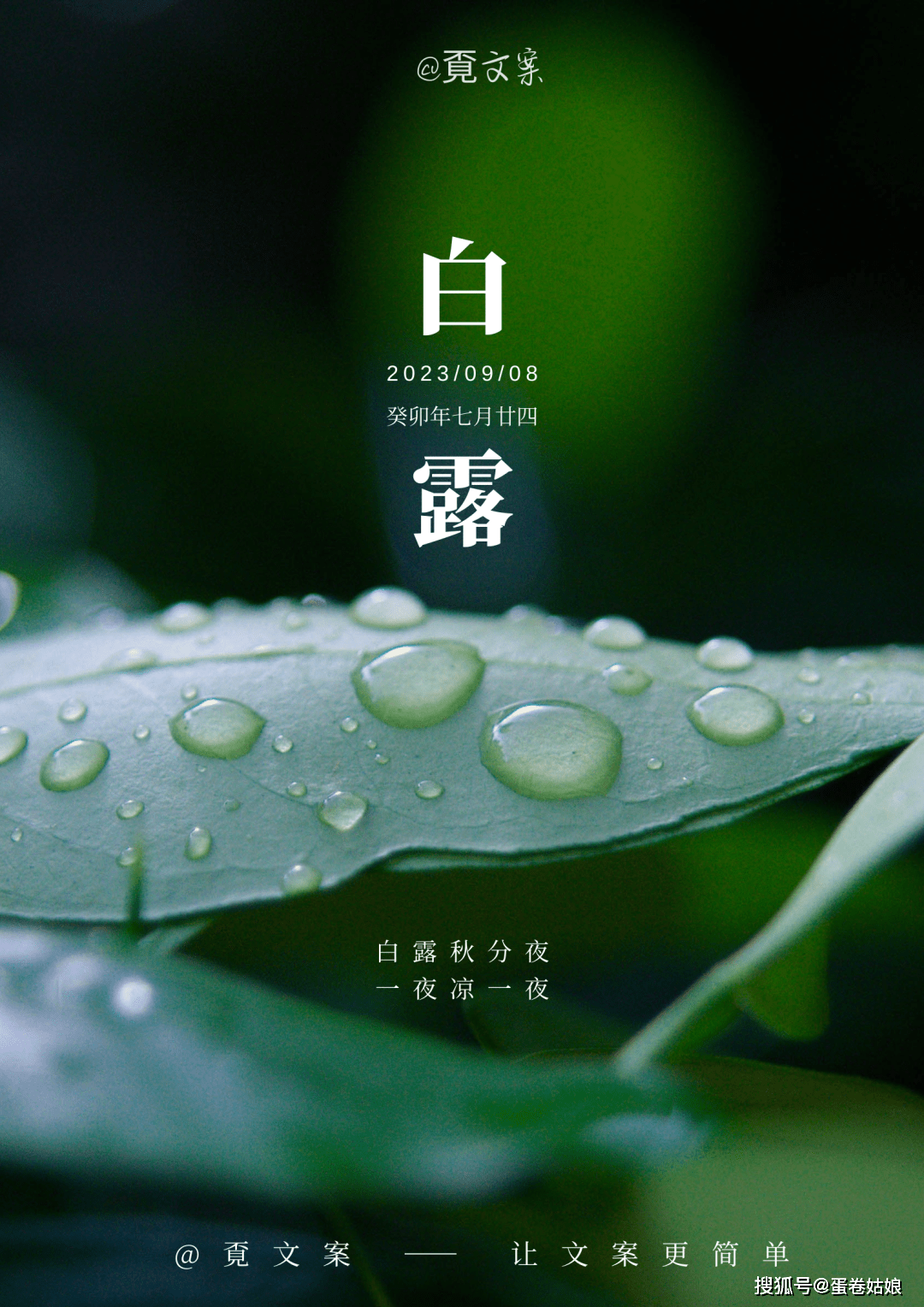 白露文案海报 | 秋风悄至,琼露渐生_人生_秋色_时光