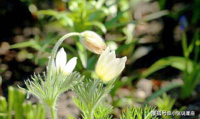 精致深情的句子,内涵丰富,让人深思_生活_朋友_时间