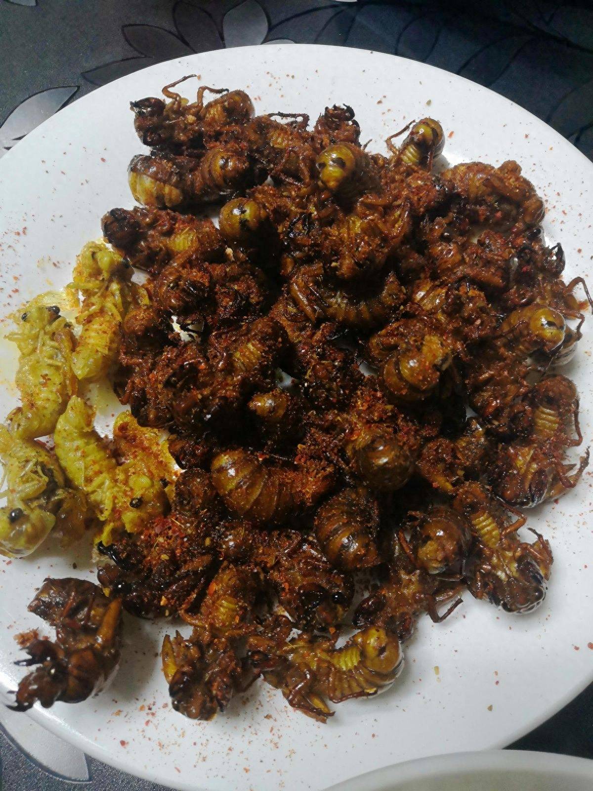 回味童年的味道-油炸知了猴_银蝉_烧烤_美味