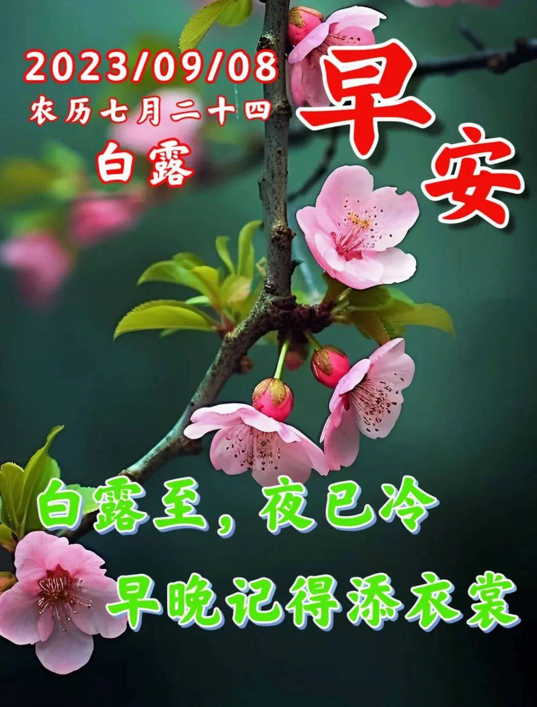 9月8日白露节气早上好,群发白露早安祝福温馨表情包图片带字精选问候