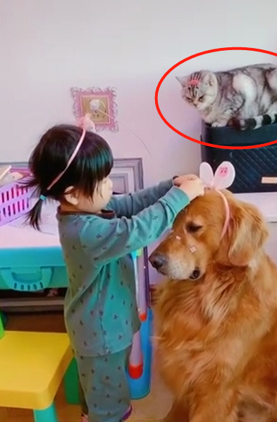 完美世界