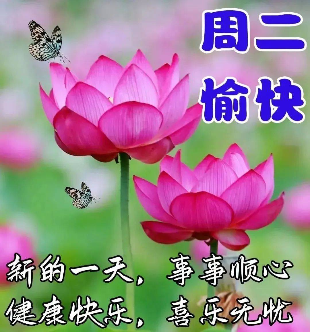 9月12日周二早上好,精选早安创意祝福图片带字表情包问候语录大全