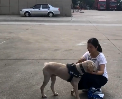 狗狗掉入深井，被消防小哥救起后赖在消防队不走