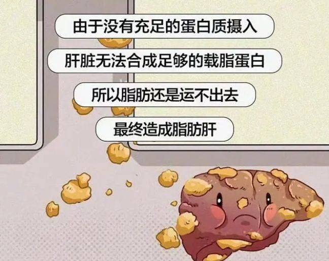 碧波庭给你答案_减肥_管理_脂肪