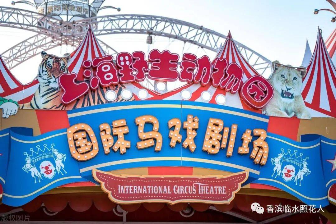 有时候我会藏在谁也找不到的地方,找不到我的爸爸妈妈,急得直抓狂