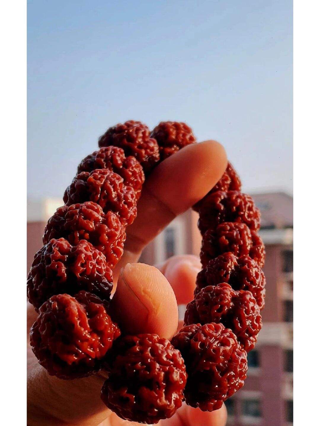 金刚菩提为啥要刷?不刷行么?都行只要你喜欢!_盘玩_玩家_文玩