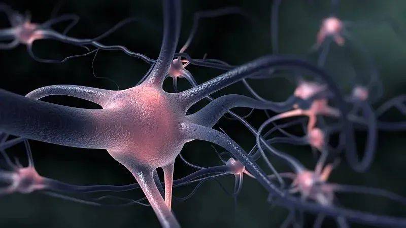 "运动神经元病"为何被称为世界五大绝症之首?背后真相引人震惊!