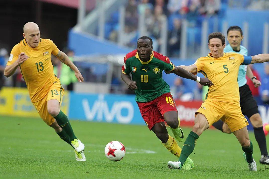 澳大利亚人最热衷的10种运动项目_比赛_观众_体育