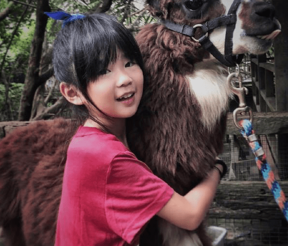 曹格11岁女儿打扮时尚,偷穿妈妈衣服混搭似模特,踩恨天高走路稳_grace