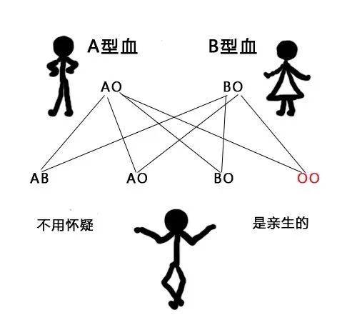 B型阴性血图片