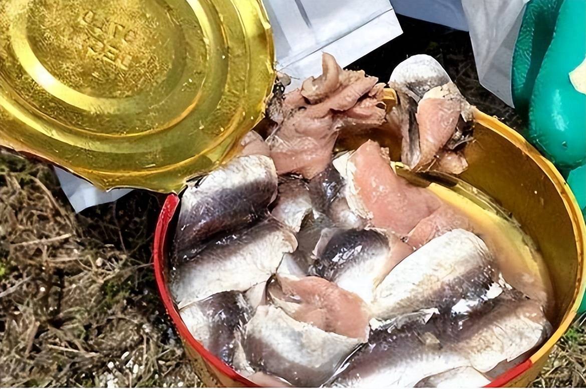 北欧鲱鱼罐头图片