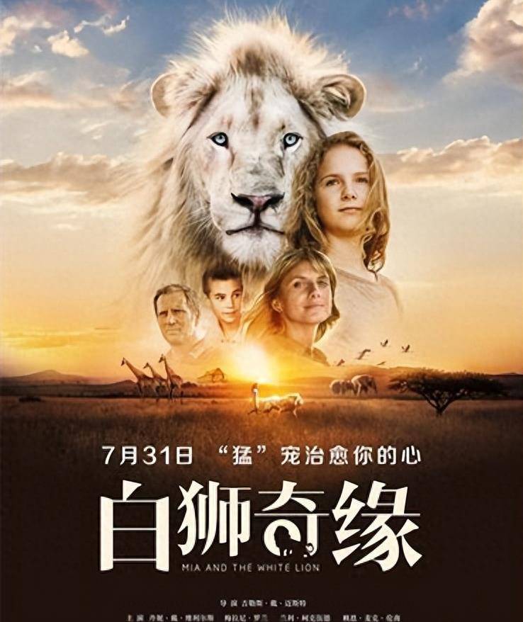 《白狮奇缘》:一个让野生动物远离非法猎杀的安全天堂_小白_保护区