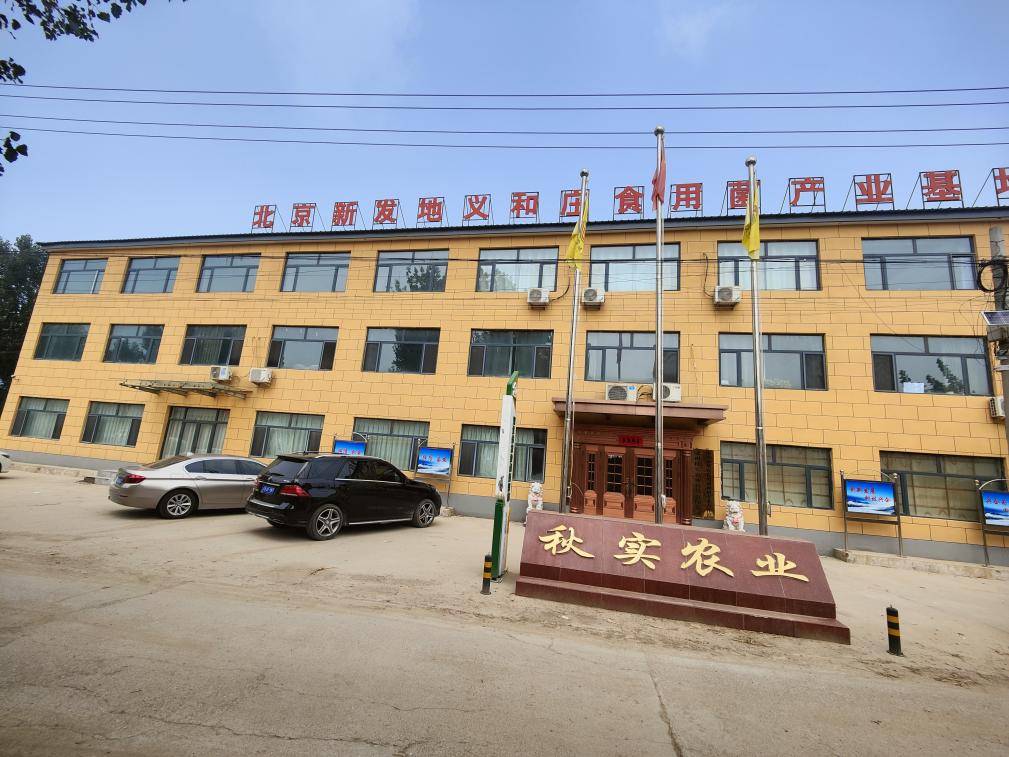 涿州义和庄镇长(涿州义和庄镇长简介)