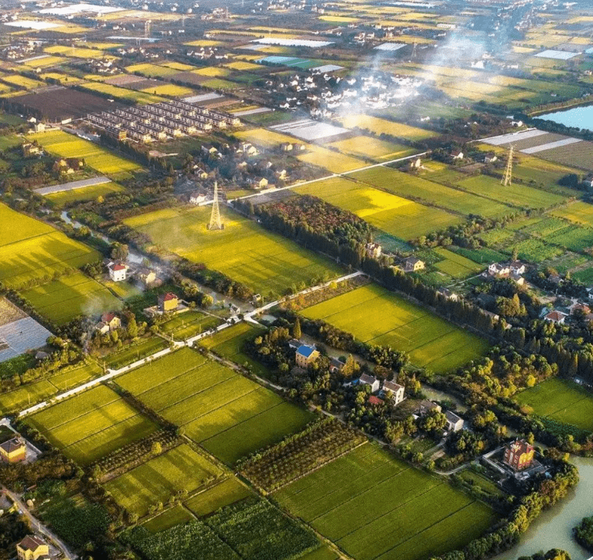 2022水稻公园奇妙夜图片