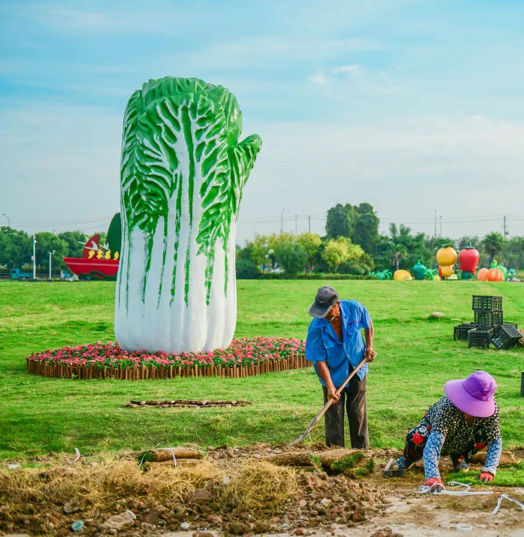 和县第十四届蔬菜博览会于9月26日在和县国家现代农业产业园开幕_发展