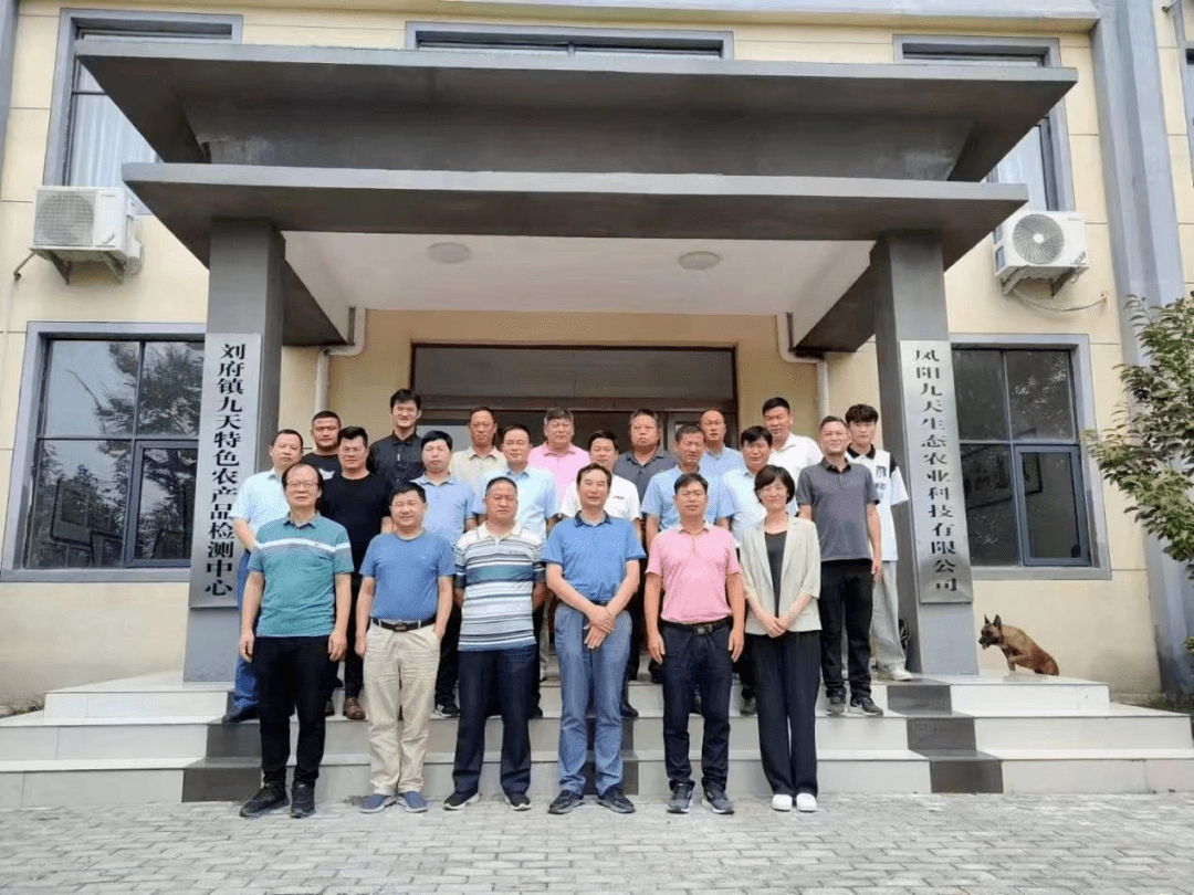 乡创联合安财乡建院成功举办凤阳县供销社"大联合"制度推进规划研讨会