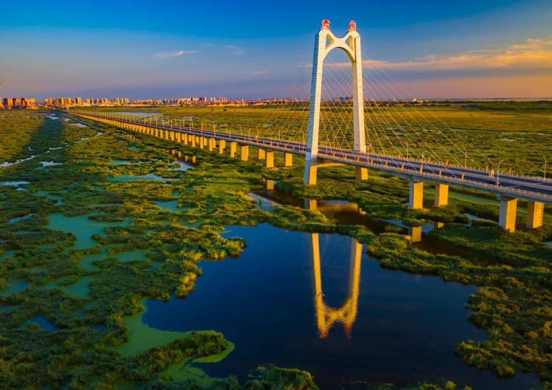 大庆湿地大桥图片