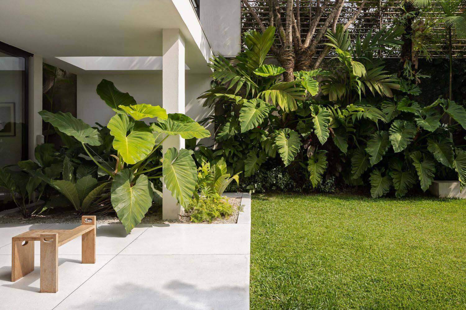 巴西圣保罗绿植景观别墅_植物_的花园_方式