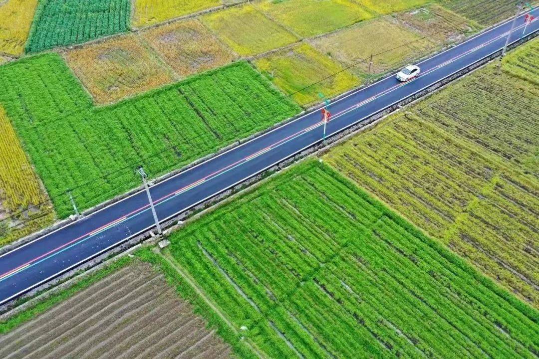 讲好乡村振兴故事(37)福建 | 在乡村振兴沃上中创业_薛秀琴_行业_大洋