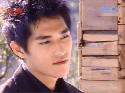 蓝正龙是中国台湾的男演员,大家对他印象比较深刻的应该是《流星花园