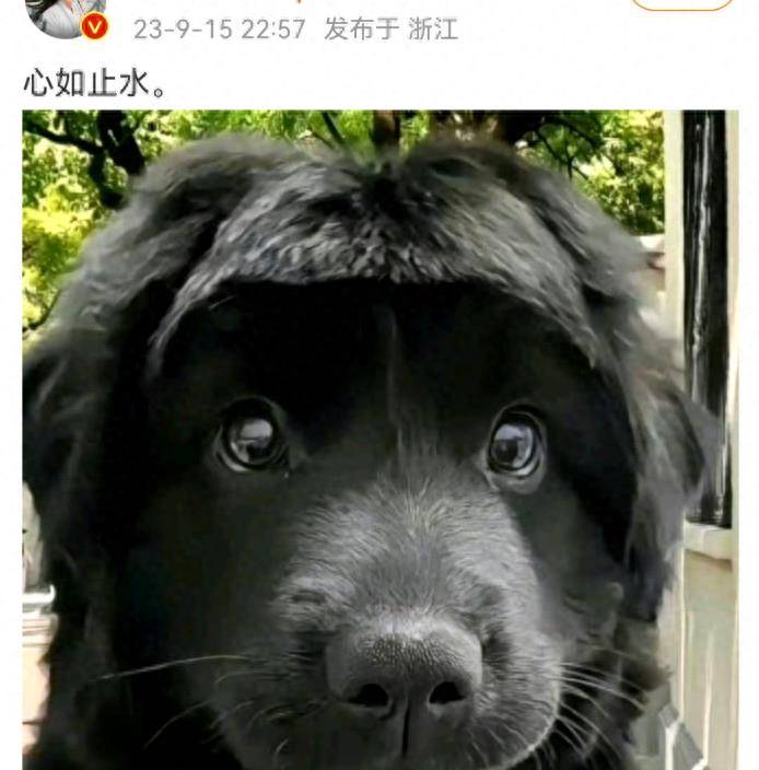 曾舜晞正片颜值遭刘海封印,晒表情包幽默回应_郭敬明_造型_剧情