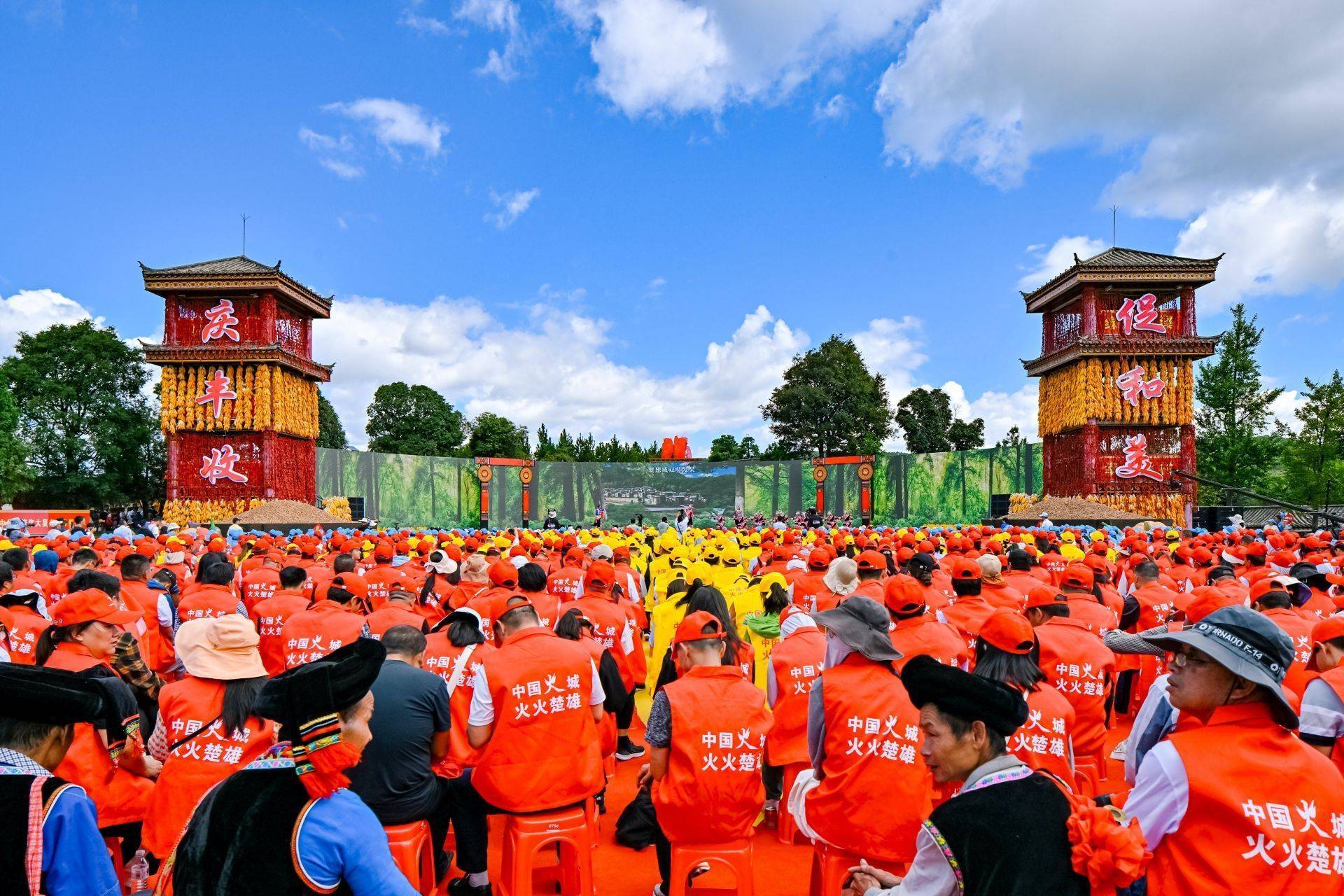 乡村发展志愿服务促进会会长刘永富,楚雄州委书记刘勇,楚雄州委副书记